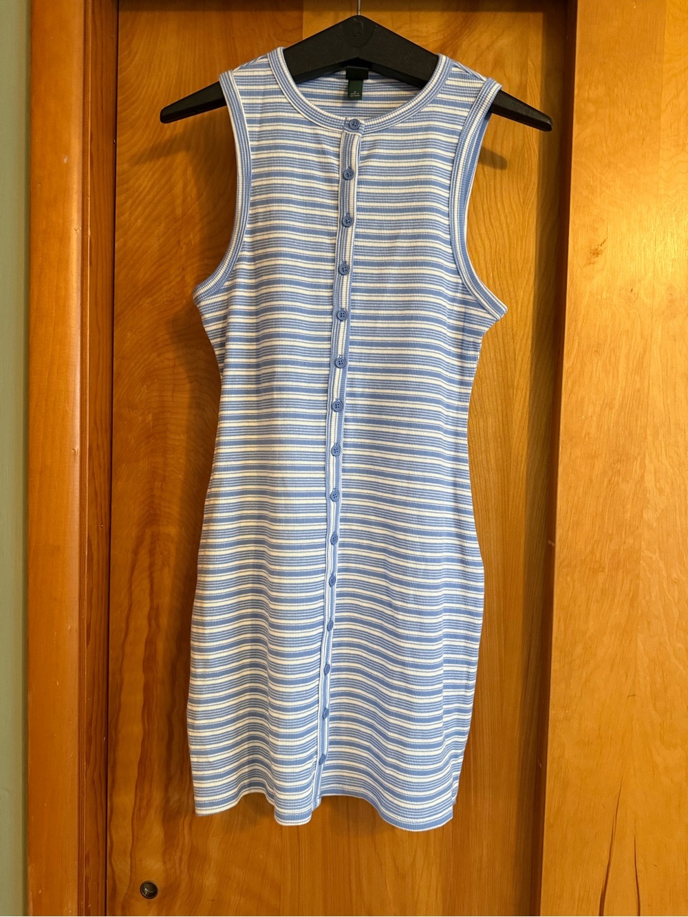Sleeveless Blue and White Striped Button-Front Dress